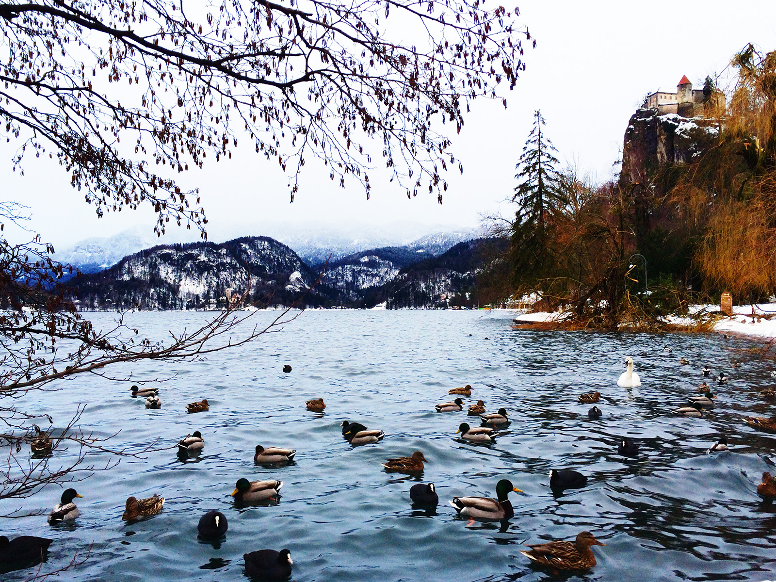 озеро Блед Словения